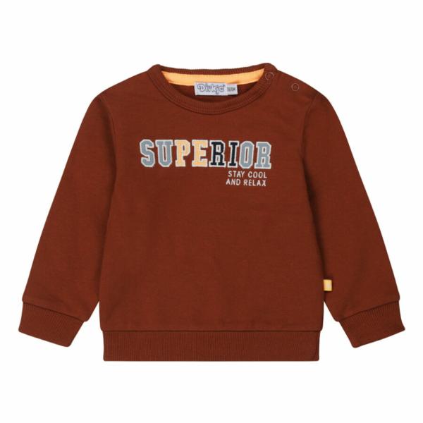 Dirkje jongens sweater roestbruin S48608-35