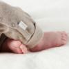 Noppies Boxpak Nevis - taupe melange - Afbeelding 5