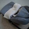 Koeka voetenzak wafel/teddy oslo 0+ 3-punts - steel grey - Afbeelding 4