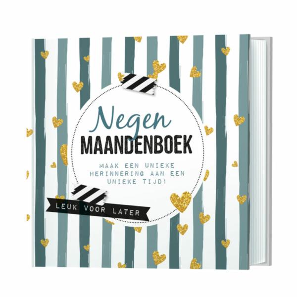 Negen maandenboek