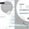 Negen maandenboek - invulboek - Afbeelding 3